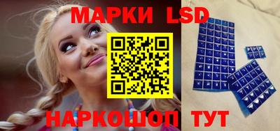 spice Заволжье