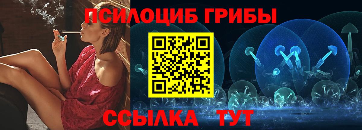 Галлюциногенные грибы Psilocybe Майкоп